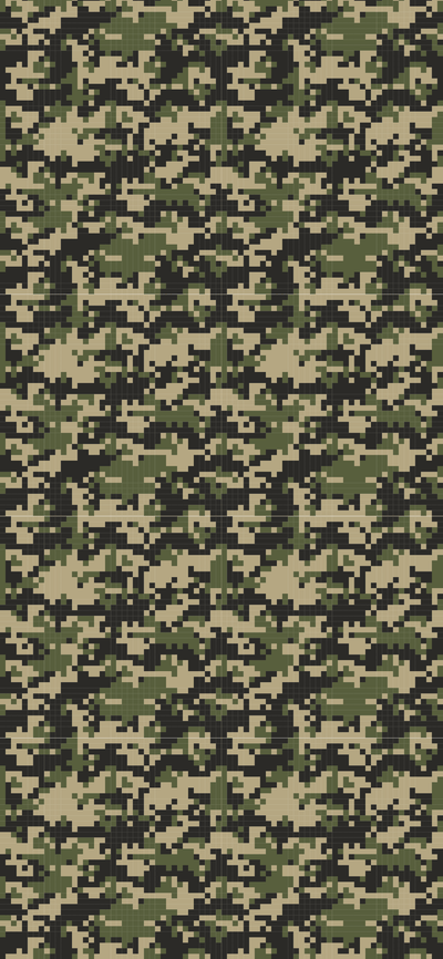 Camo Standard