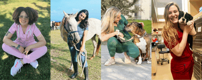 ‎6 Reasons The Vet World is Going Wild for These Jogger Scrubs - Collections