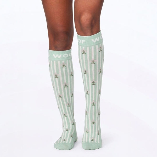 //www.drwoofapparel.com/cdn/shopifycloud/storefront/assets/no-image-2048-a2addb12_grande.gif