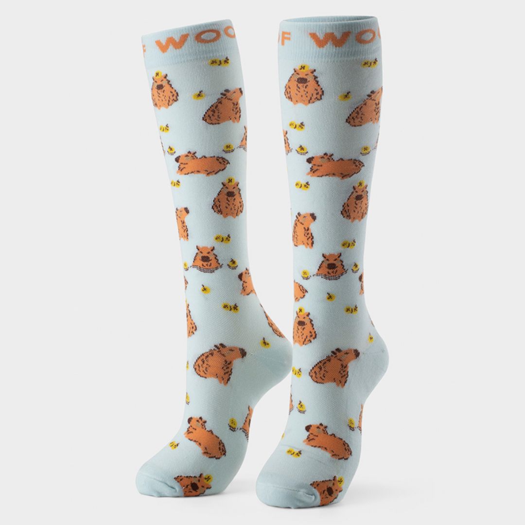 Cutest Creatures Bamboo Compression Socks 6 Pack