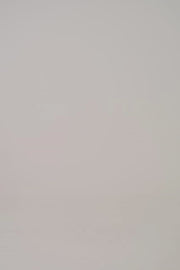 Camosaurus Rex Men’s Cargo Scrub Pants