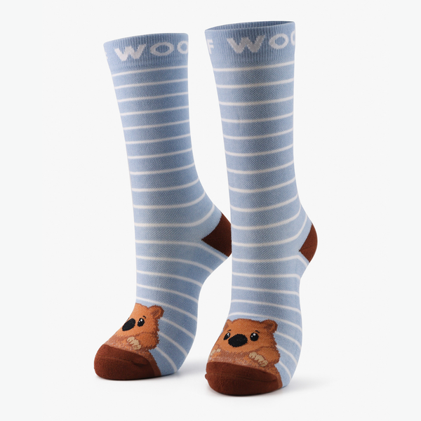 //www.drwoofapparel.com/cdn/shopifycloud/storefront/assets/no-image-2048-a2addb12_grande.gif